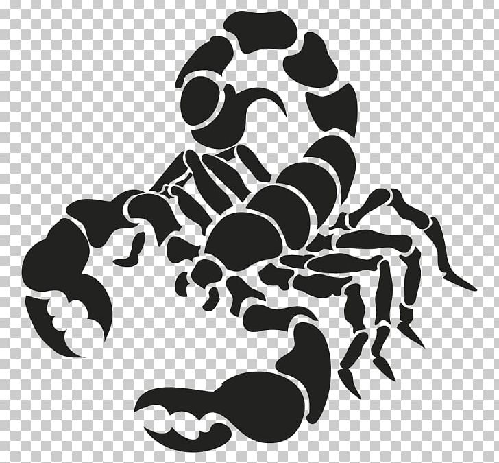 Scorpion Drawing PNG, Clipart, Arachnid, Art, Arthropod, Black, Black And White Free PNG Download