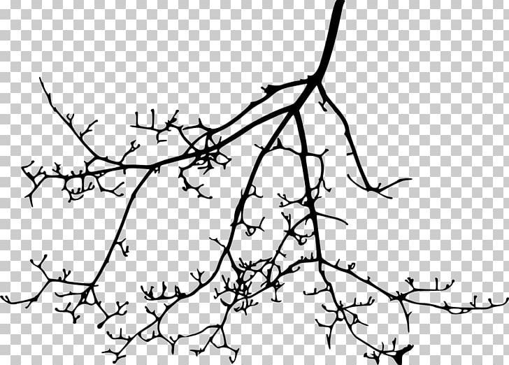 Twig Branch Plant Stem PNG, Clipart, Area, Art, Artwork, Black And White, Branch Free PNG Download