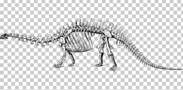 Brontosaurus Apatosaurus Tyrannosaurus Diplodocus Stegosaurus PNG, Clipart, Animal Figure, Apatosaurus, Artwork, Black And White, Bone Free PNG Download