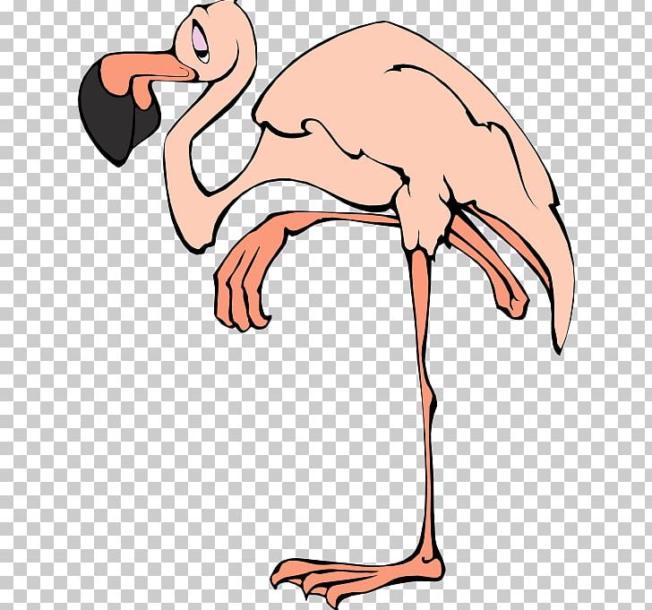 Flamingo Blog PNG, Clipart, Animal Figure, Animals, Animation, Arm, Artwork Free PNG Download