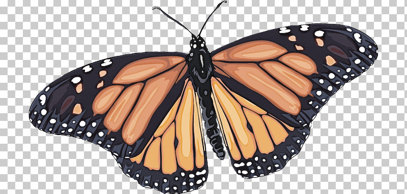 Monarch Butterfly PNG, Clipart, Brushfooted Butterfly, Butterfly, Cynthia Subgenus, Insect, Monarch Butterfly Free PNG Download