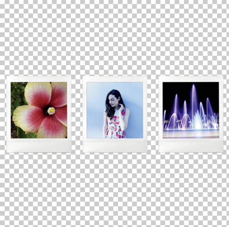 Digital Instant Camera Fujifilm Square SQ10 W White Photographic Film Instax PNG, Clipart, Camera, Digital Cameras, Digital Photography, Flower, Fujifilm Free PNG Download