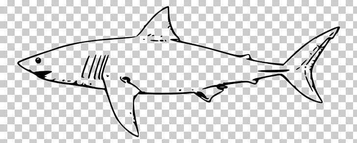 Great White Shark Hammerhead Shark Bull Shark PNG, Clipart, Angle, Animals, Artwork, Black And White, Bull Shark Free PNG Download