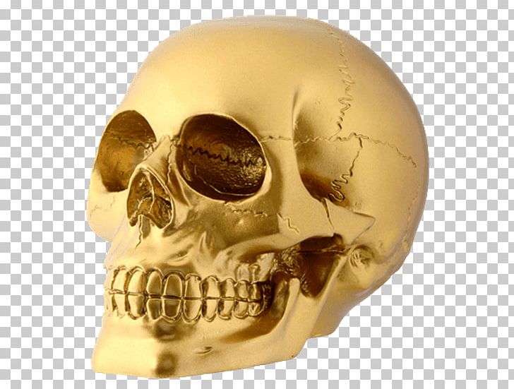 Skull Human Skeleton Human Head PNG, Clipart, Anatomy, Bone, Face, Fantasy, Figurine Free PNG Download
