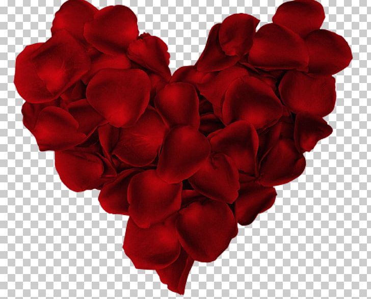 Valentine's Day Love Dwynwen Romance Dia Dos Namorados PNG, Clipart, 14 February, Cut Flowers, Dwynwen, Flower, Flowering Plant Free PNG Download