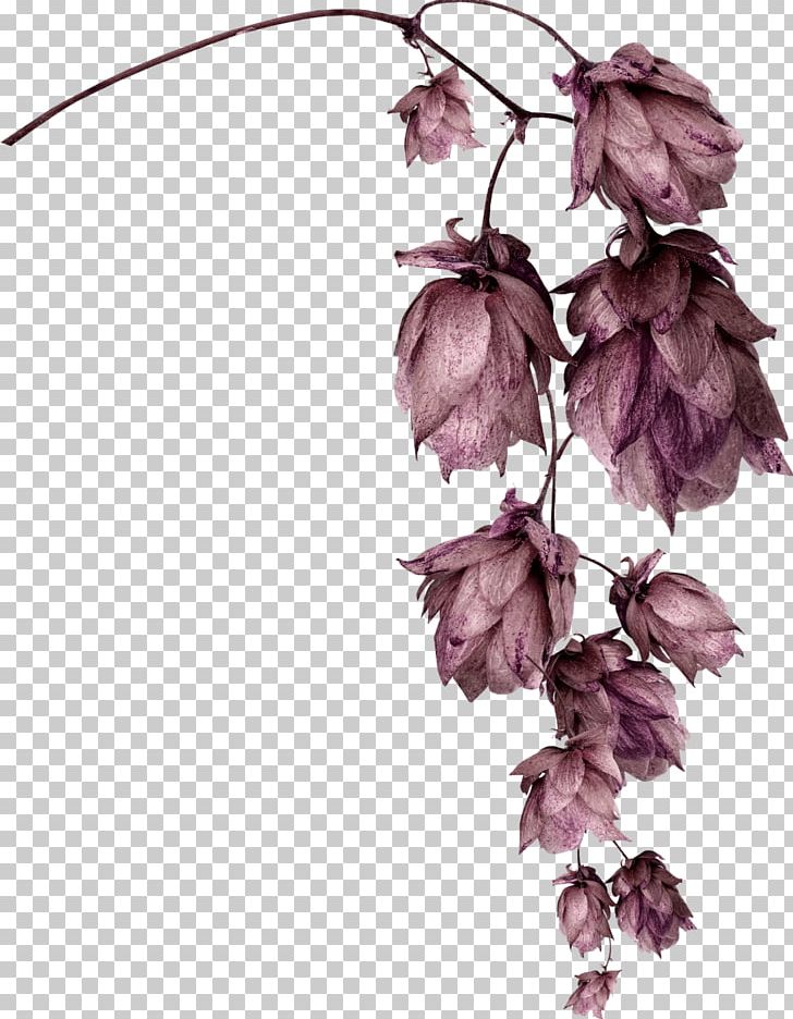 Flower Garden Petal PNG, Clipart, Blossom, Branch, Cherry Blossom, Dead Leaves, Drawing Free PNG Download