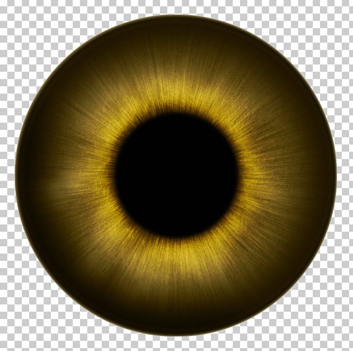 Human Eye Iris Texture Eye Color PNG, Clipart, Blue, Circle, Closeup, Color, Eye Free PNG Download