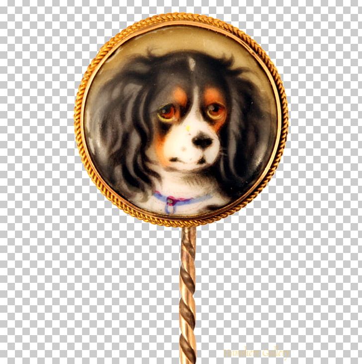 Cavalier King Charles Spaniel Puppy Dog Breed Pekingese PNG, Clipart,  Free PNG Download