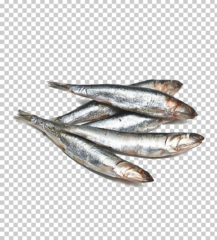 Anchovy Omelette Fish Sardine Basa PNG, Clipart, Anchovy Food, Animals, Animal Source Foods, Black Sea Bass, Capelin Free PNG Download
