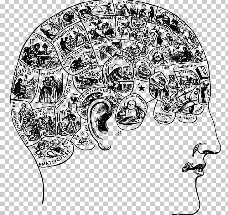 Brain Lives Of The Mind: The Use And Abuse Of Intelligence From Hegel To Wodehouse Human Head PNG, Clipart, Art, Black And White, Brain, Circle, Drawing Free PNG Download