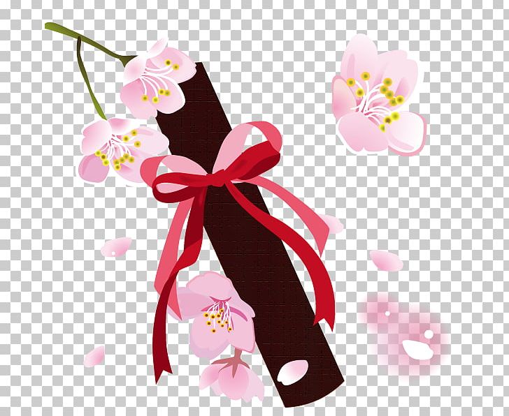 Cherry Blossoms And Diploma. PNG, Clipart, Blossom, Cherry Blossom, Cut Flowers, Floral Design, Floristry Free PNG Download