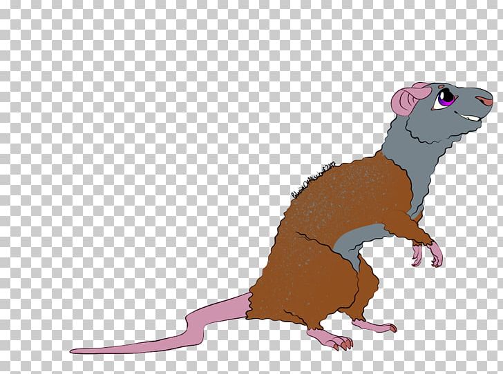 Ferret Mouse Rat Cat Rodent PNG, Clipart, Animal, Animal Figure, Animals, Carnivora, Carnivoran Free PNG Download