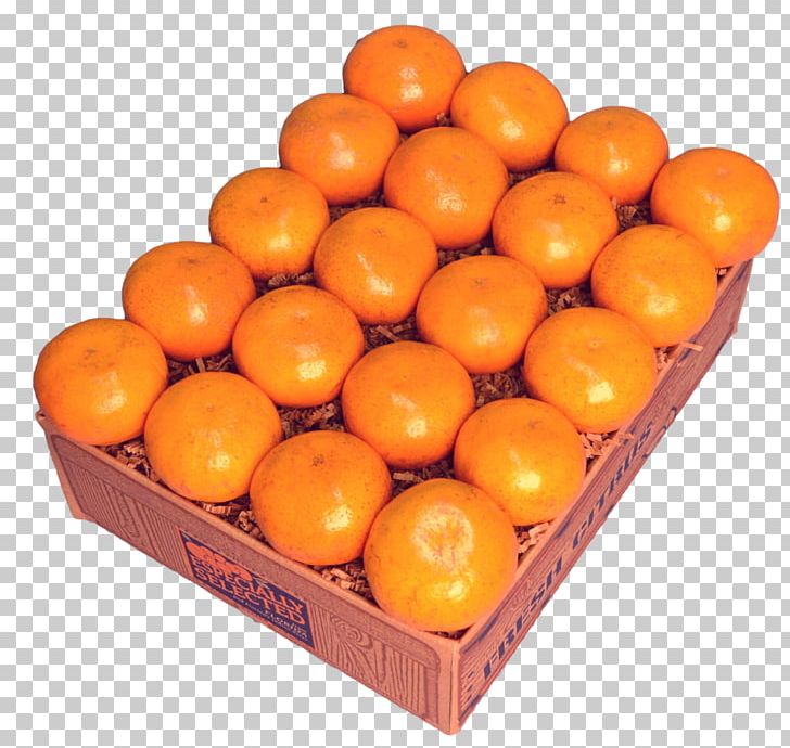 Tangerine Mandarin Orange Clementine Tangelo PNG, Clipart, Bitter Orange, Blood Orange, Citrus, Clementine, Food Free PNG Download