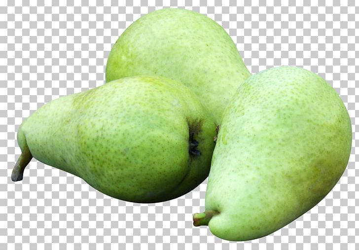 Asian Pear Crisp Apple Fruit PNG, Clipart, Apple, Asian Pear, Computer Icons, Crisp, Food Free PNG Download