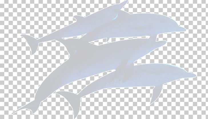 Dolphin PNG, Clipart, Animals, City Silhouette, Dolphin, Fin, Fish Free PNG Download