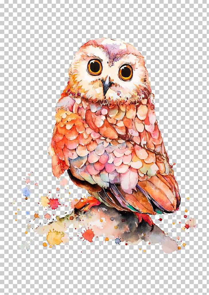 Owl Cartoon Illustration PNG, Clipart, Animals, Art, Beak, Bird, Bird Of Prey Free PNG Download