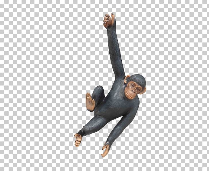 Primate Great Apes Animal PNG, Clipart, Animal, Ape, Arm, Great Ape, Great Apes Free PNG Download