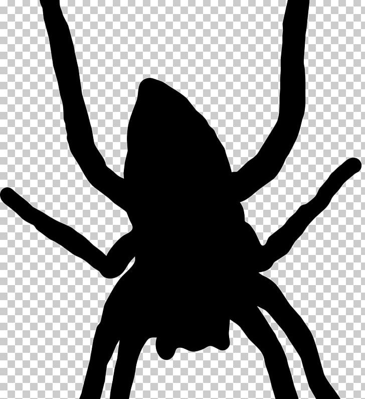 Spider Web Silhouette Arthropod PNG, Clipart, Animal, Arachnid, Arthropod, Artwork, Black Free PNG Download