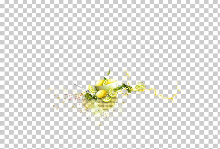 Still Life Photography Desktop PNG, Clipart, Branch, Computer, Computer Wallpaper, Desktop Wallpaper, Flora Free PNG Download