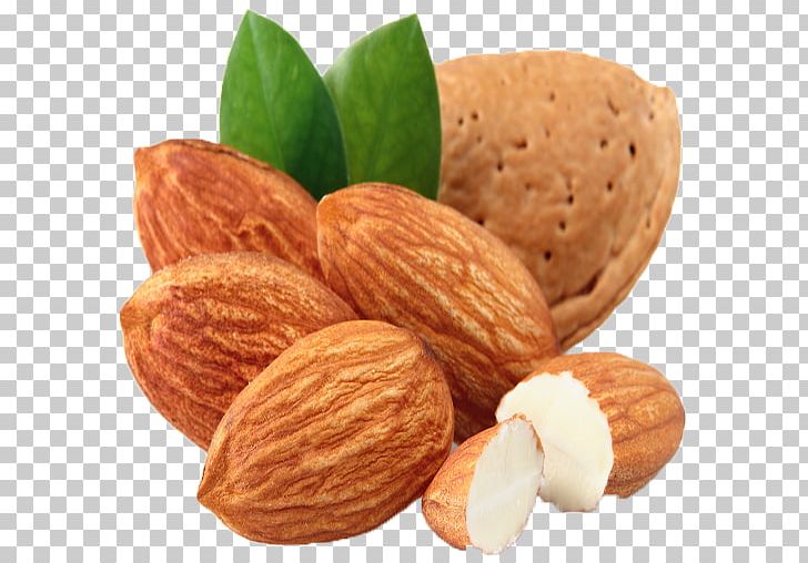Almond Carrier Oil Food Nut PNG, Clipart, Almond, Benefit, Body Building, Carrier Oil, Commodity Free PNG Download