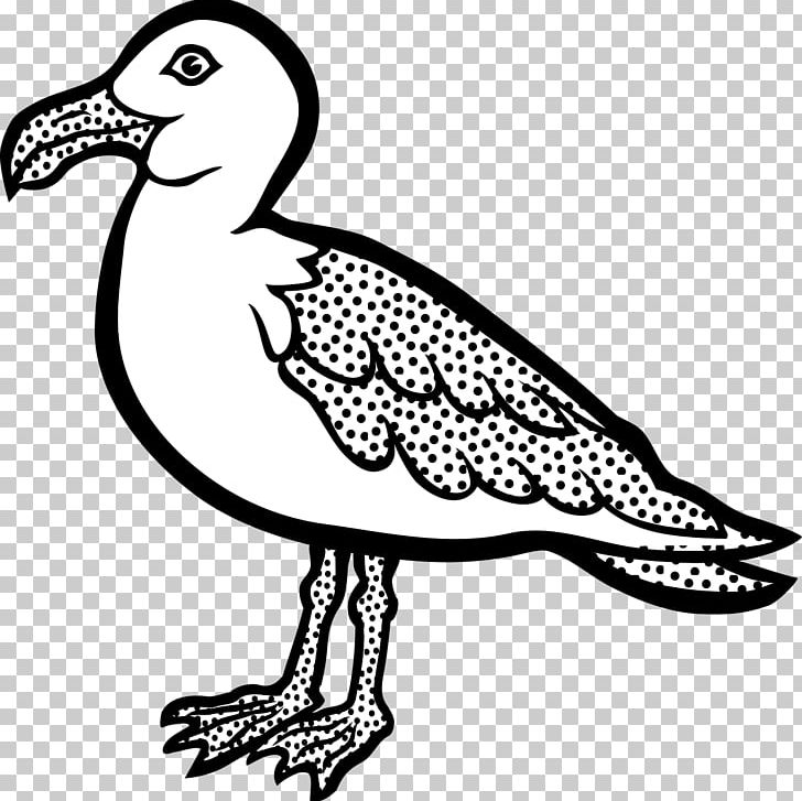 Gulls Bird PNG, Clipart, Animals, Art, Artwork, Beak, Bird Free PNG Download