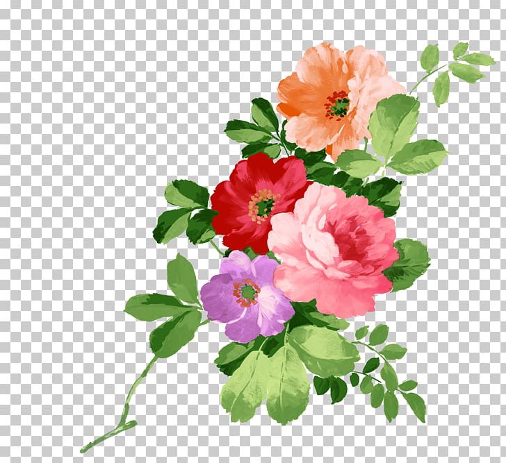 Watercolour Flowers Watercolor Painting PNG, Clipart, Annual Plant, Art, Blossom, Branch, Cut Flowers Free PNG Download