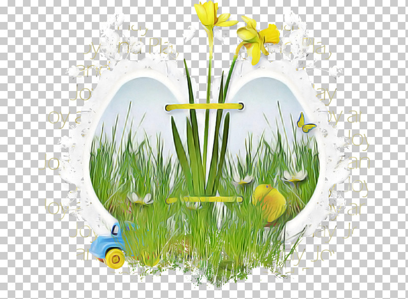 Grass Yellow Flower Plant Spring PNG, Clipart, Amaryllis Family, Camomile, Easter, Flower, Grass Free PNG Download