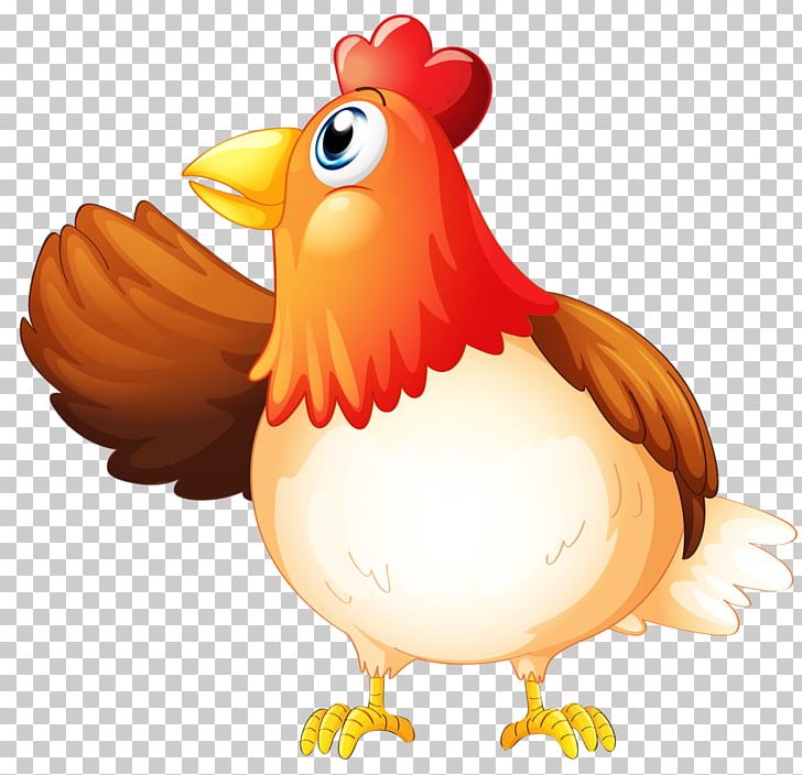 Chicken Rooster PNG, Clipart, Animals, Beak, Bird, Cartoon, Chicken Free PNG Download