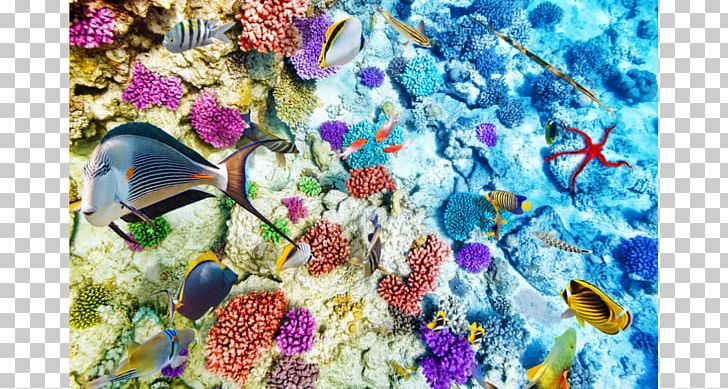 Coral Reef Life Coral Reef Fish Ocean PNG, Clipart, Coral, Coral Reef, Coral Reef Fish, Desktop Wallpaper, Fish Free PNG Download