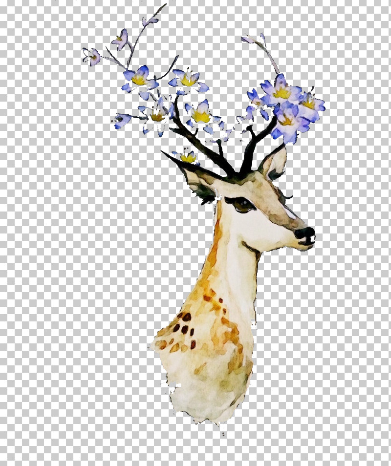 Wildlife Plant Deer Fawn PNG, Clipart, Deer, Fawn, Paint, Plant, Watercolor Free PNG Download