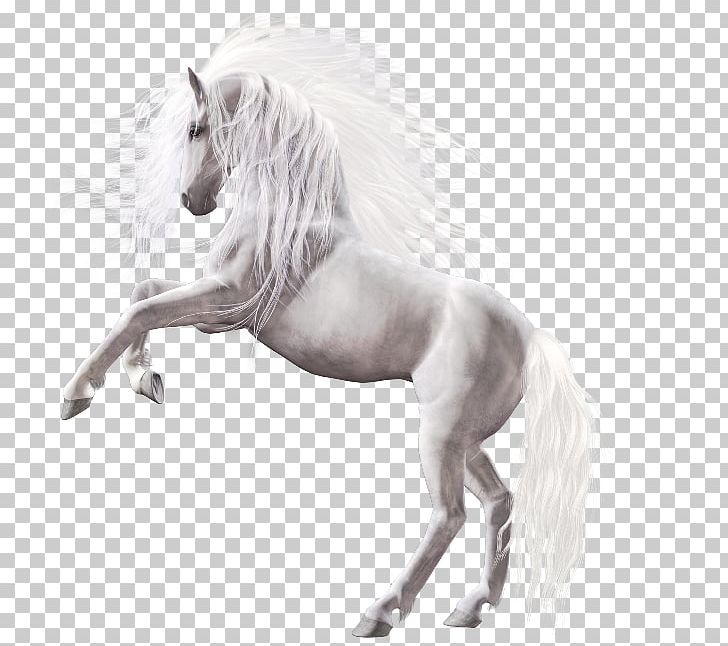 Horse Icon PNG, Clipart, Adobe Illustrator, Animals, Background White, Black, Black White Free PNG Download