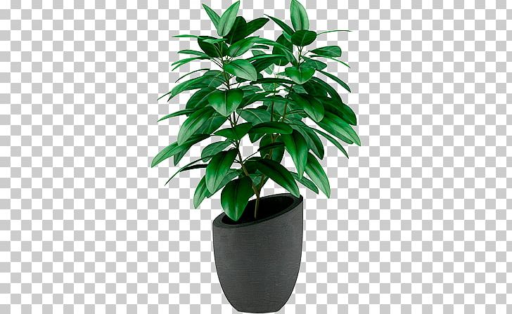 Houseplant Flowerpot Stock Photography PNG, Clipart, Evergreen, Flowerpot, Food Drinks, Herb, Houseplant Free PNG Download