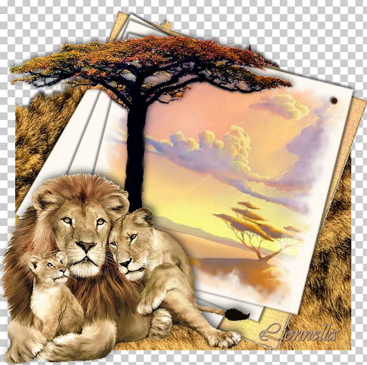 Lion Family Tiger Felidae Cat PNG, Clipart, Animal, Animals, Baby Lions, Big Cats, Carnivoran Free PNG Download