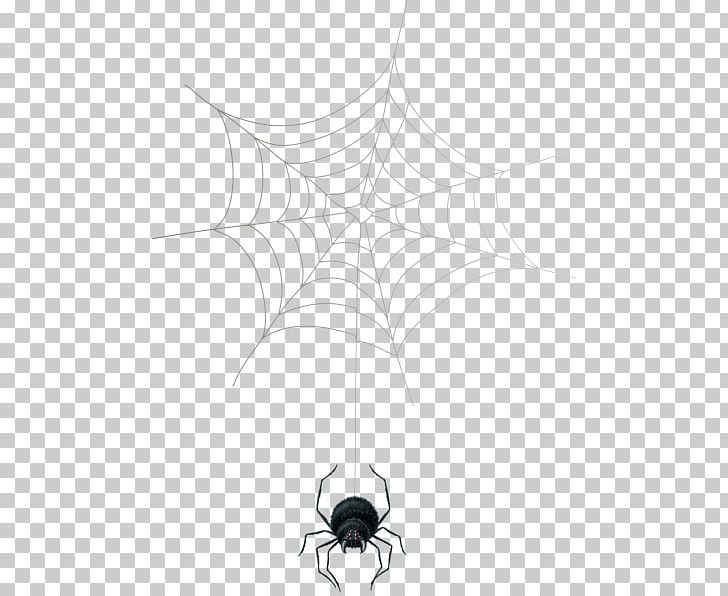 Spider Web Theridiidae Symmetry Point PNG, Clipart, Arachnid, Arthropod, Art Is, Black And White, Circle Free PNG Download