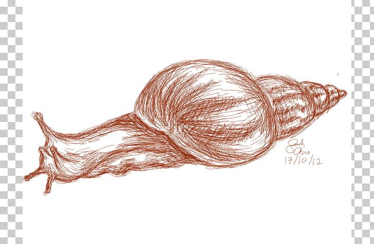 The Snail Drawing Art Sketch PNG, Clipart, Art, Cartoon, Charcoal, Deviantart, Drawing Free PNG Download