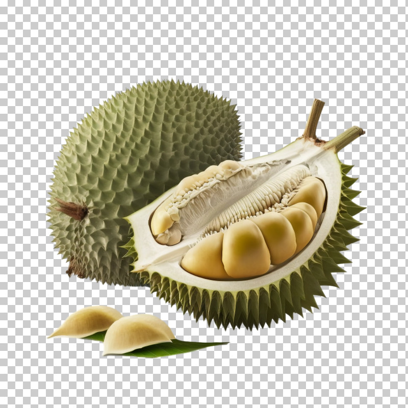 3d Durian - Fresh Durian Fruit With Opened Segments PNG