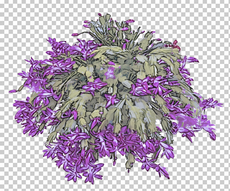 Floral Design PNG, Clipart, Biology, Cut Flowers, Floral Design, Flower, Lavender Free PNG Download