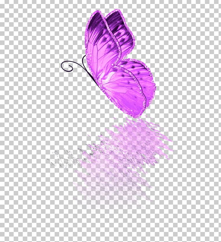 Butterfly 2M PNG, Clipart, Butterflies And Moths, Butterfly, Creation, Deco, Insects Free PNG Download