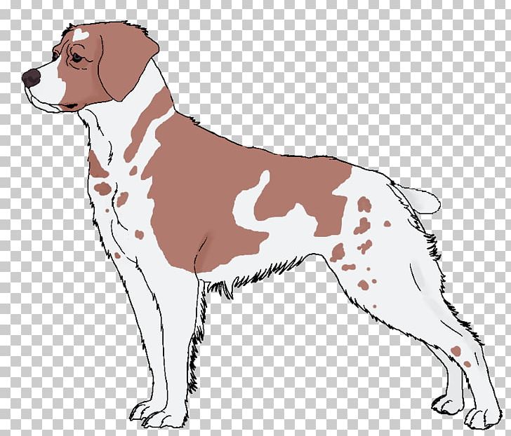 Dog Breed Companion Dog Spaniel PNG, Clipart, Animals, Breed, Brittany, Carnivoran, Companion Dog Free PNG Download