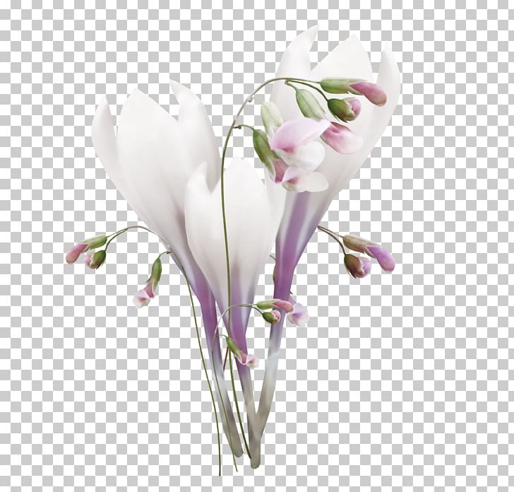 Floral Design Cut Flowers Magnolia Family Plant Stem PNG, Clipart, Branch, Bud, Cut Flowers, Floral Design, Floristry Free PNG Download