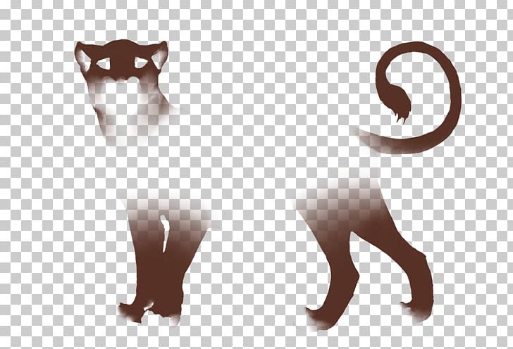 Lion Whiskers Siamese Cat Mammal Dog PNG, Clipart, Agility, Animals, Canidae, Carnivoran, Cartoon Free PNG Download
