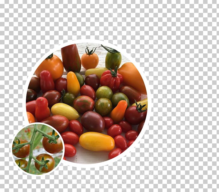 Vegetable Beefsteak Tomato Food Fruit PNG, Clipart, Beefsteak Tomato, Cherry, Commodity, Confectionery, Culinary Arts Free PNG Download