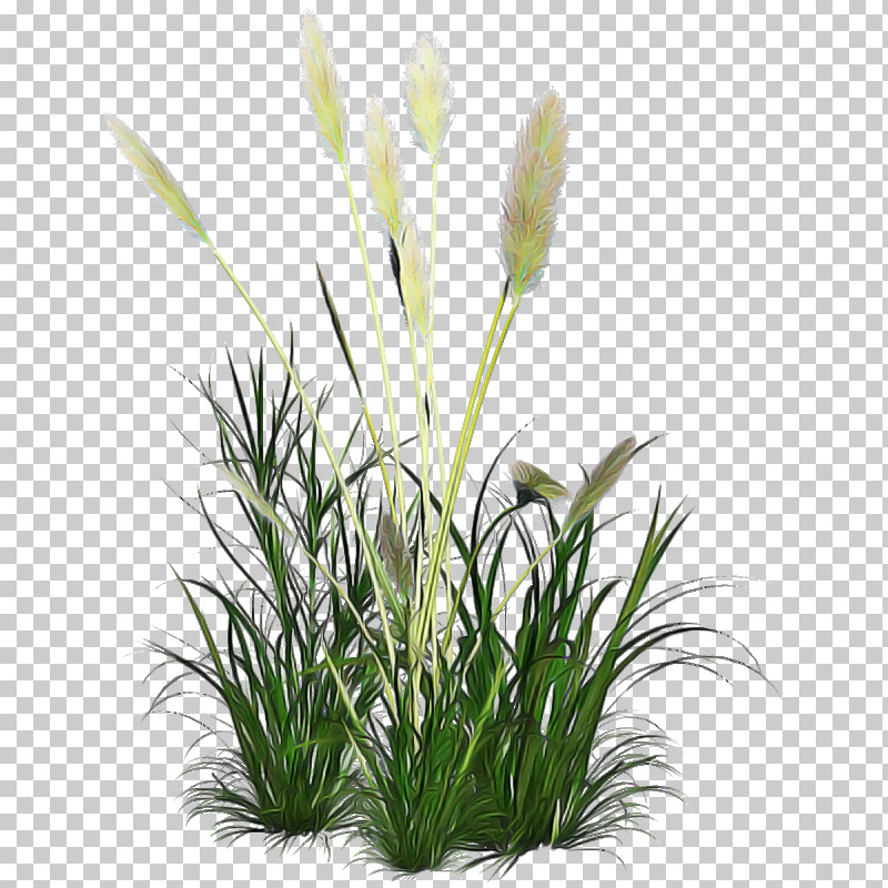 Artificial Flower PNG, Clipart, Aquarium Decor, Artificial Flower, Flower, Flowerpot, Grass Free PNG Download