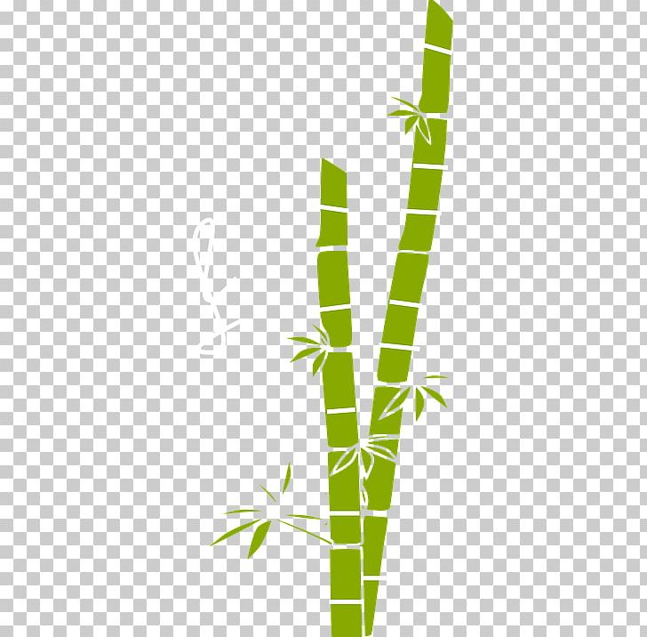 Bamboo Free Content PNG, Clipart, Angle, Background Green, Bamboe, Bamboo, Bamboo Shoot Free PNG Download