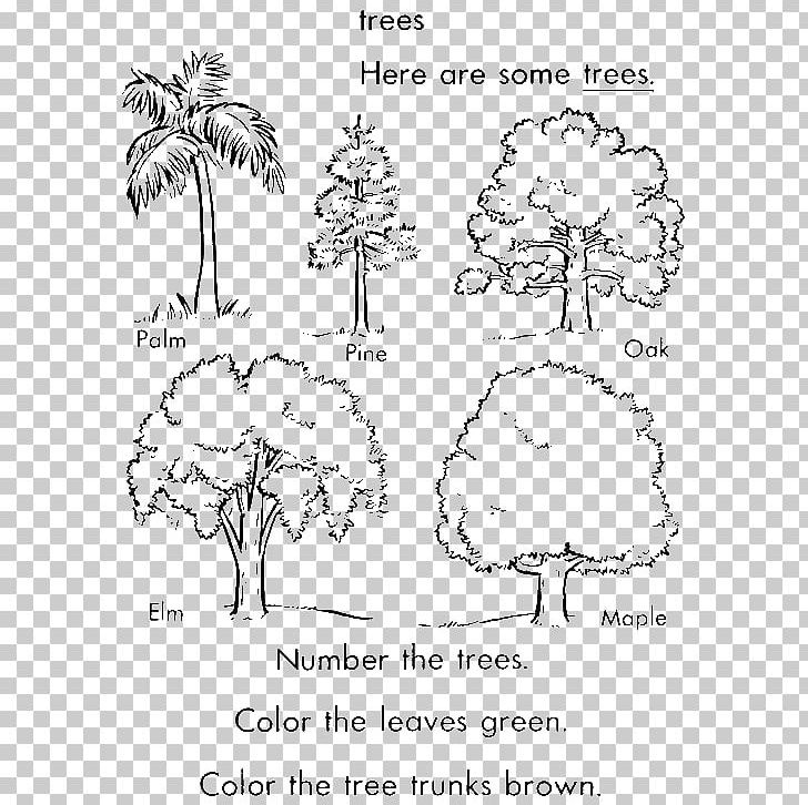 Coloring Book Tree Arecaceae Trunk Pine PNG, Clipart, Arbor Day, Area, Art, Black And White, Branch Free PNG Download