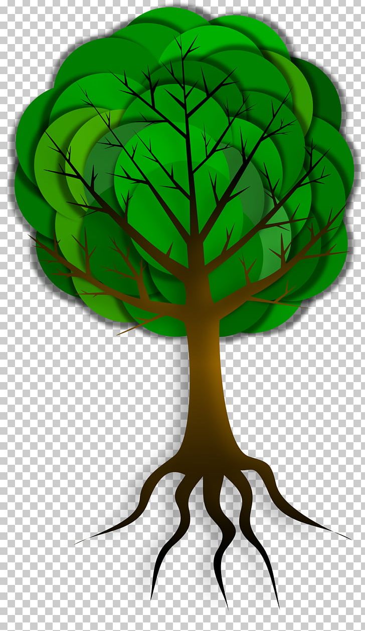 Tree Trunk PNG, Clipart, Branch, Computer Icons, Drawing, Nature, Organism Free PNG Download
