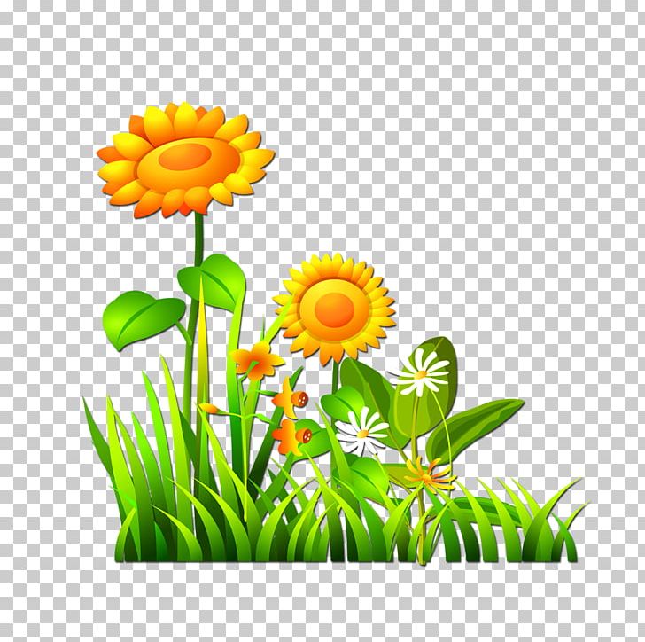 Computer File PNG, Clipart, Computer Wallpaper, Dahlia, Daisy Family, Flower, Flower Arranging Free PNG Download