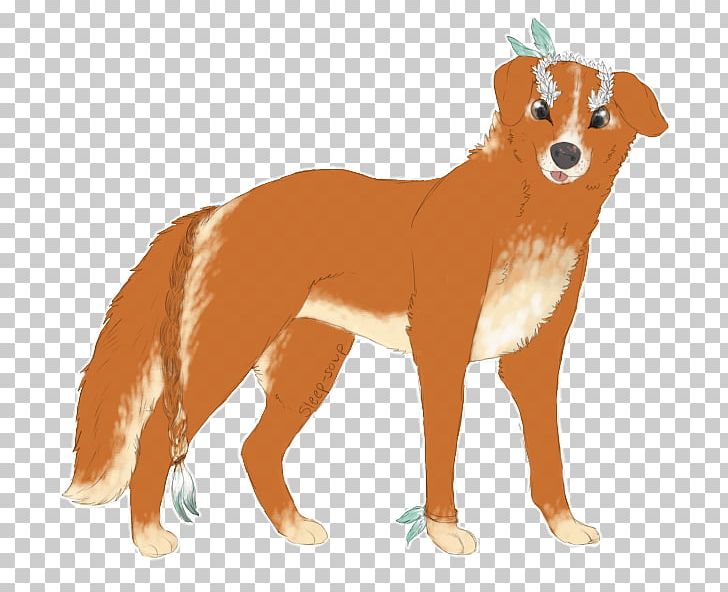 Dog Breed Nova Scotia Duck Tolling Retriever Puppy Ancient Egypt Companion Dog PNG, Clipart, Ancient Egypt, Ancient History, Anubis, Carnivoran, Companion Dog Free PNG Download