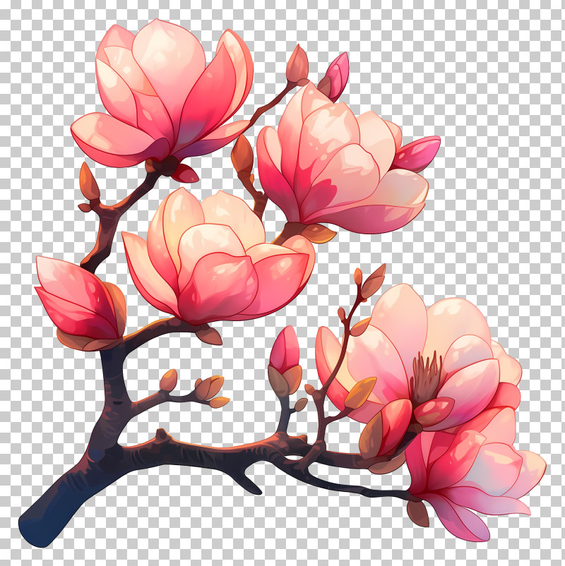 Magnolia Art - Blooming Pink Magnolia Flowers PNG