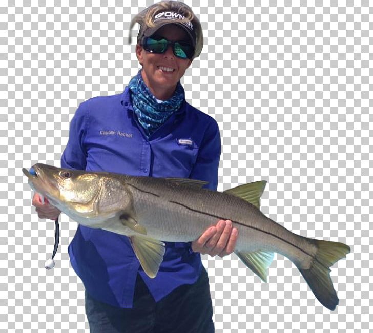 Captain Rachel Fishing Rods Marina Drive Fish Hook PNG, Clipart, Barramundi, Bass, Cato, Cod, Coho Free PNG Download